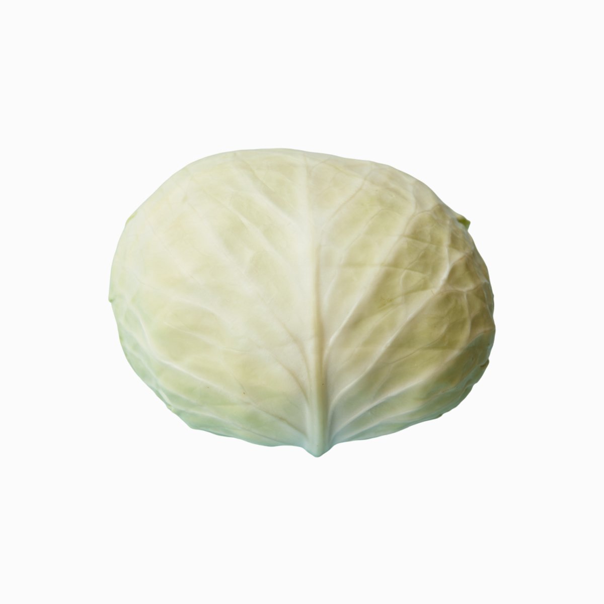 Капуста белокочанная